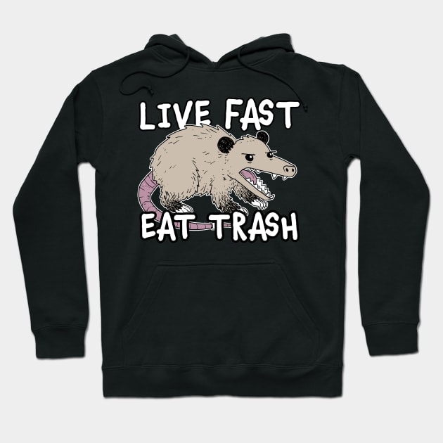 Live Fast Eat Trash Funny Possum Design Hoodie by narekmug